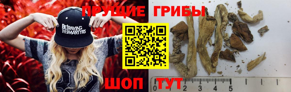Псилоцибиновые грибы мухоморы Славянск-на-Кубани